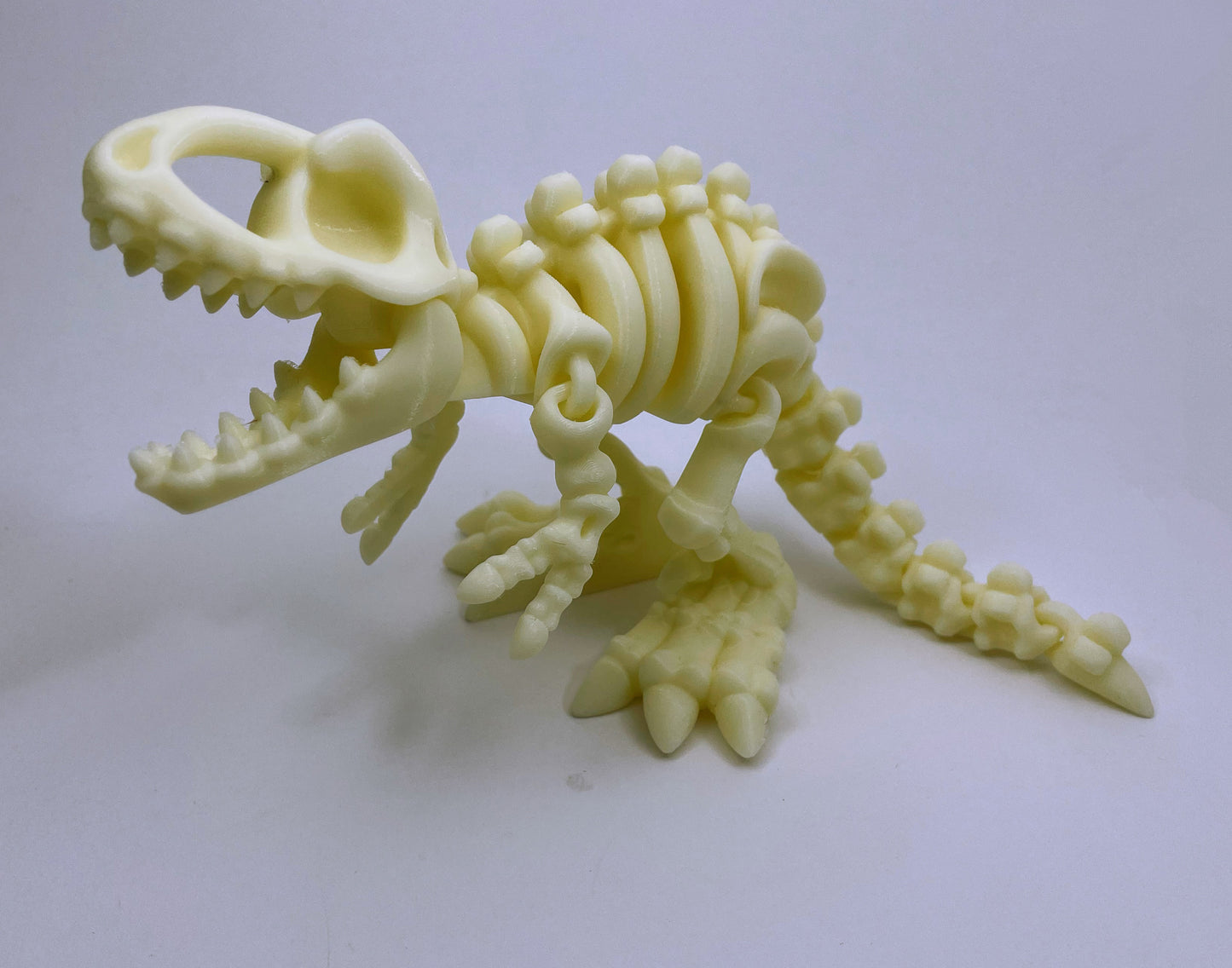 Flexy Articulated T-Rex Skeleton